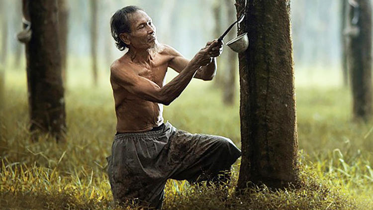 泰国Theptex乳胶床垫,泰国乳胶床垫royallatex真假对比