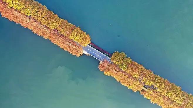 武汉房地产大v名单,武汉地产大v排行榜