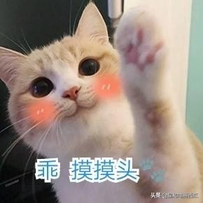 拼多多直通车关键词多少为最佳,拼多多直通车推行优化技巧及实操