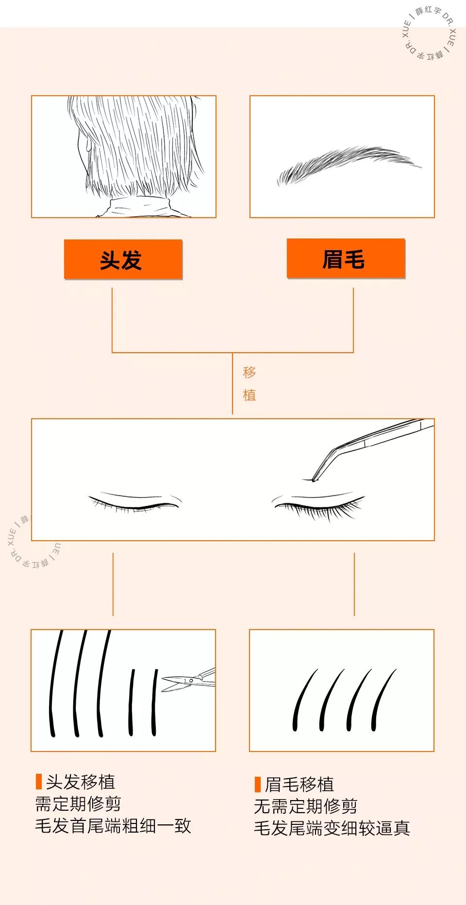 睫毛卷翘的方法半永久,睫毛卷翘定型