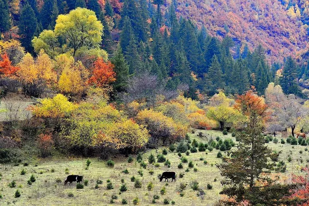 10月旅行地推荐最适合初秋出游,10月最适合慢慢旅游的地方