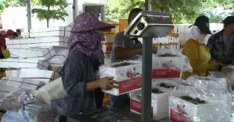 快递电商怎么做的,快递月入2万