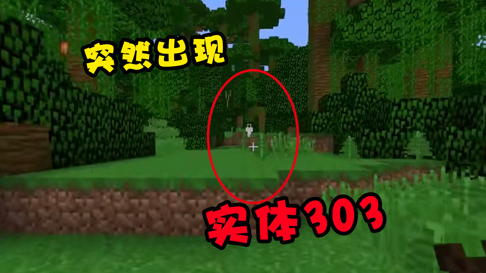 如何偶遇实体303？可以试试凌晨3点玩MC吓到尖叫不要怪我