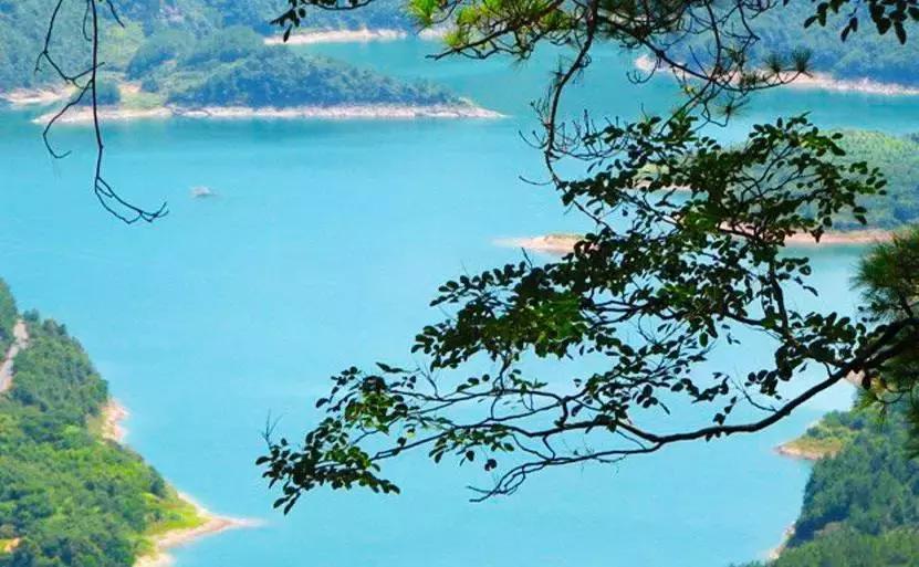 宁波踏青免费好去处,宁波踏青赏花最佳地