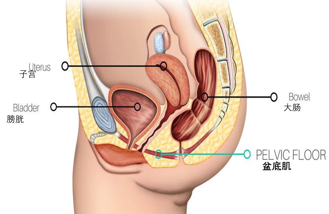 一打喷嚏，整条裤子都湿了！能秒懂的都是女人
