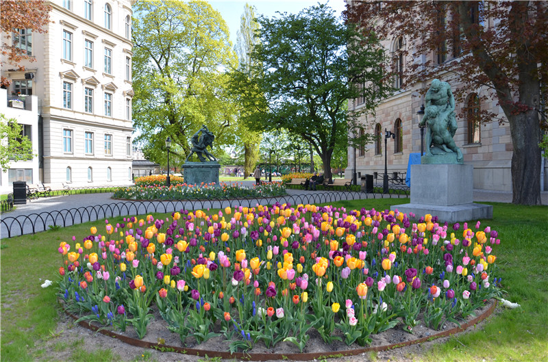 与Volvo同行奔跑在路上——哥德堡半程马拉松之旅（上）