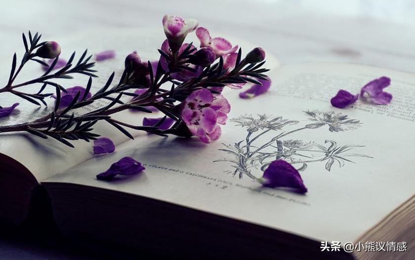 可以忍但又不能忍,可以忍的人