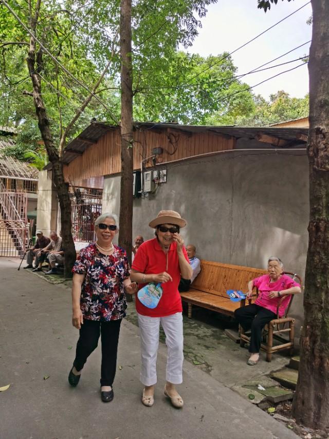 带妈妈去青城山避暑,陪父母游四川青城山