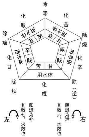 辅行诀五脏组方规律终极揭秘,辅行诀脏腑用药法要