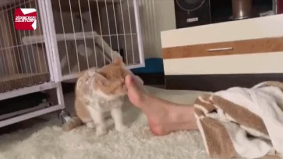 关于脸上有脚气这件事 (脸上长脚气了最有效的办法)