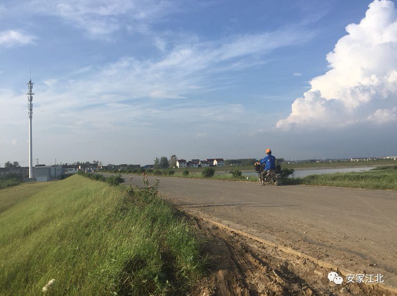 北京东路小学开发区分校,北京东路小学分校紫金分校怎么样