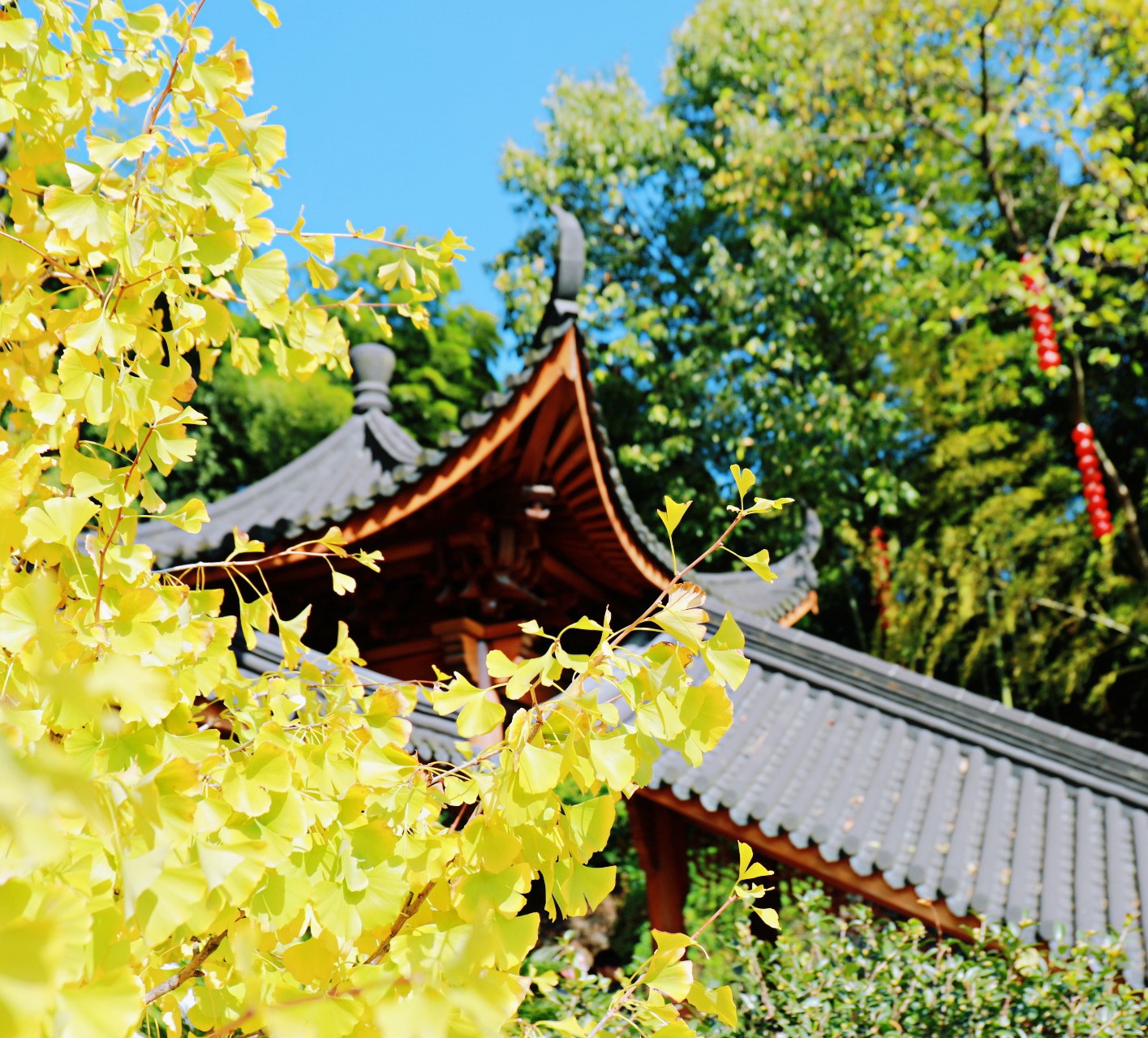 杭州有代表性纪念品,杭州最受年轻人欢迎的寺院