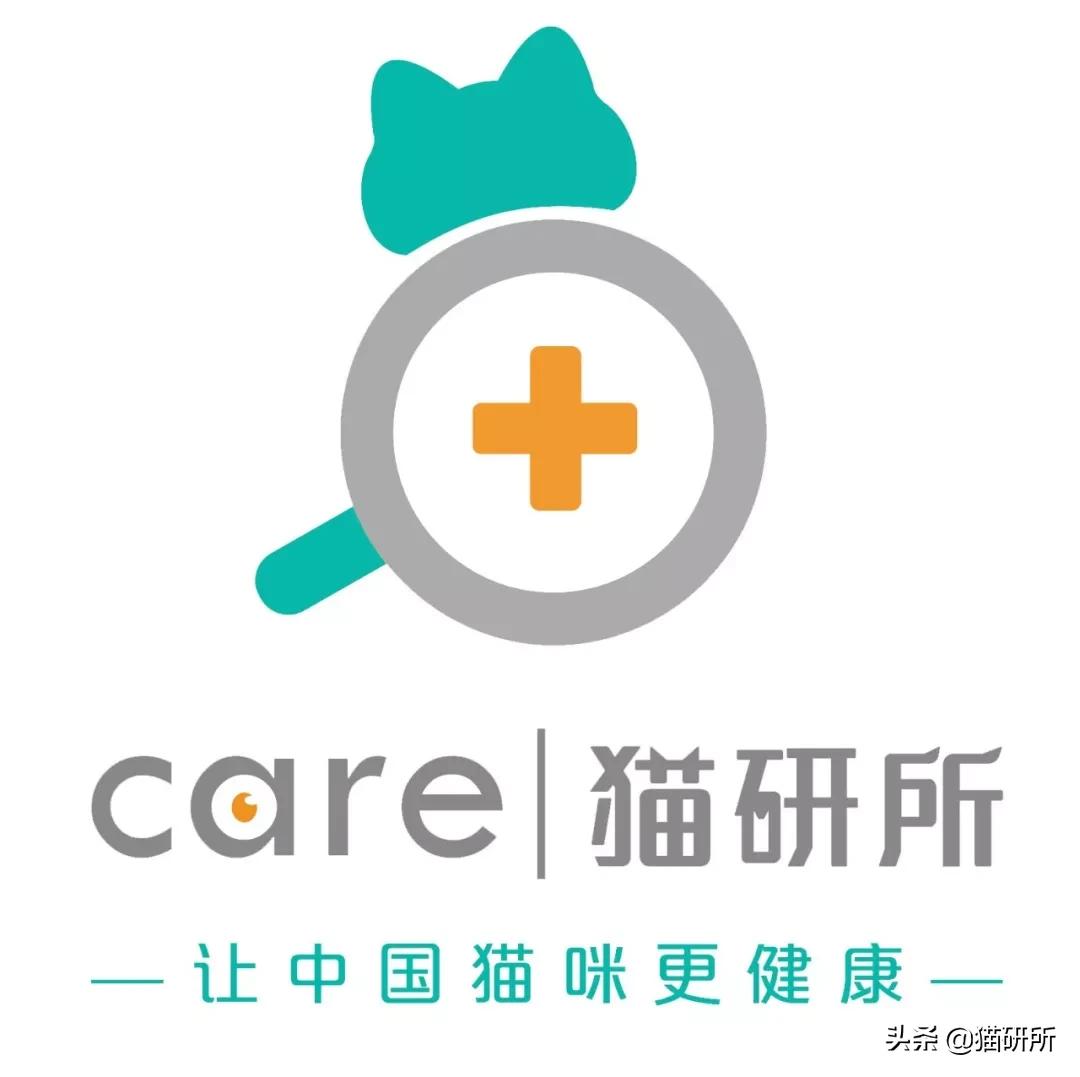 猫咪身上不同的味道代表什么,为什么猫咪的眼睛有不同颜色