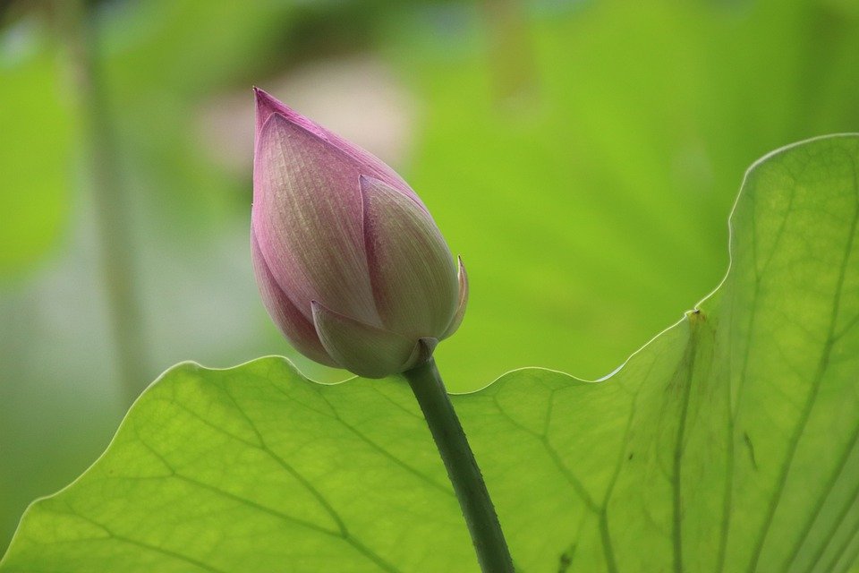 和心目中的女神恋爱其实并不费力，学会这些技巧，就能成功追上她