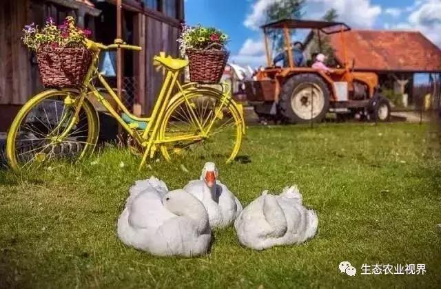 用一颗草莓吸引5百万游客,开5家主题乐园、4家超市、300个草莓屋