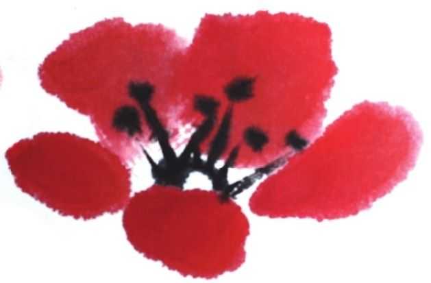 梅花入门画法教程,梅花的十种画法讲解