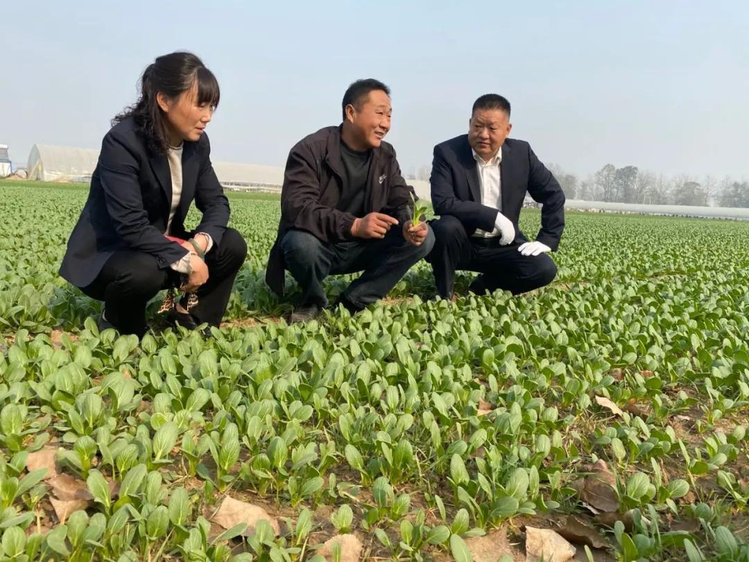 乡村振兴新农村建设汇报,乡村振兴齐鲁新样板