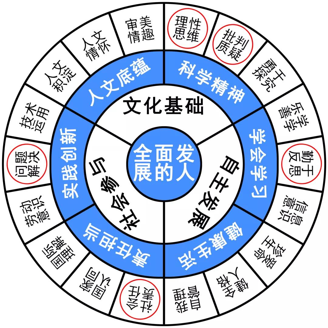 理智追星作文800字议论文免费,理智追星议论文作文