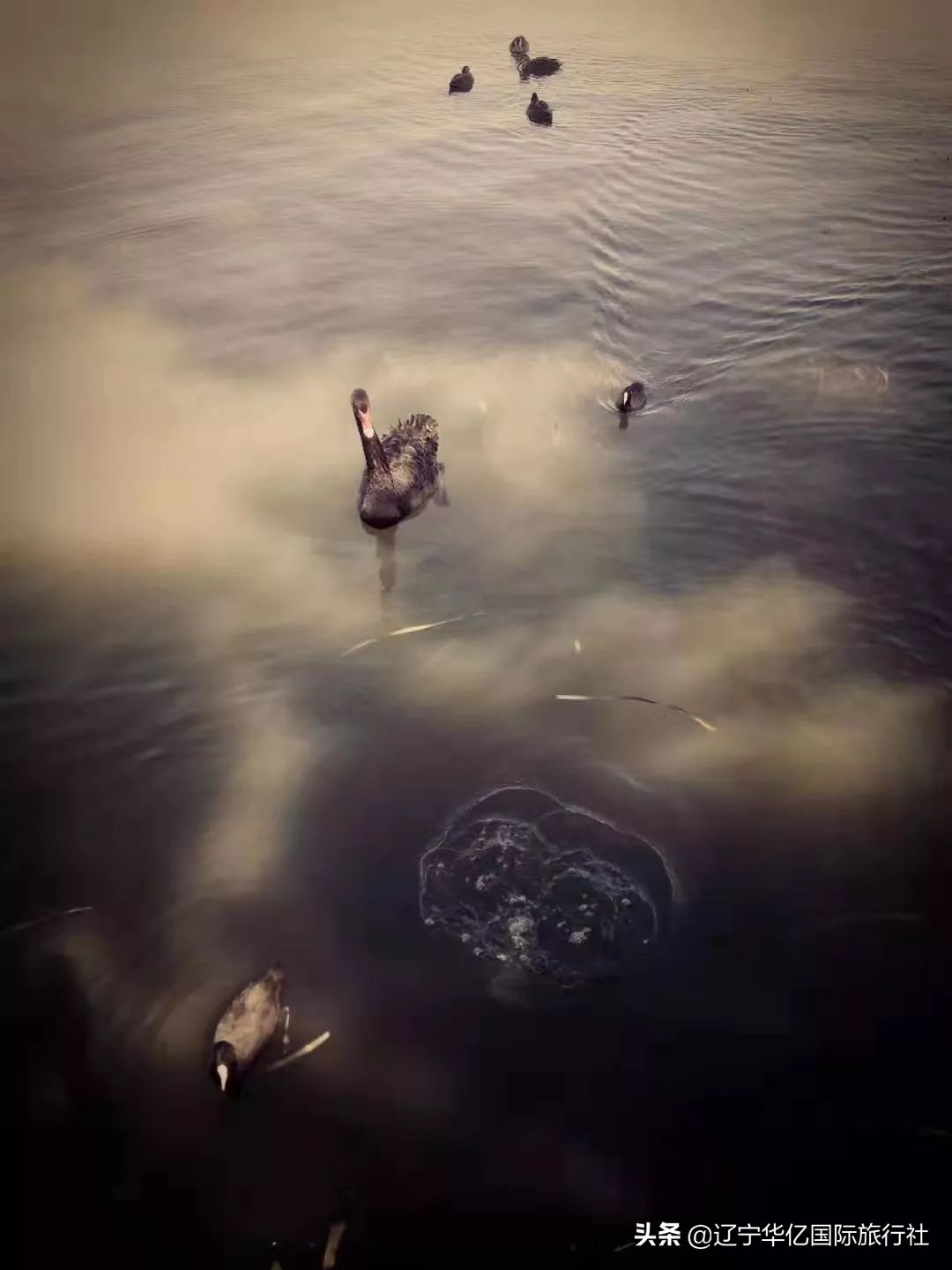 看世界震撼视频,看世界的震撼