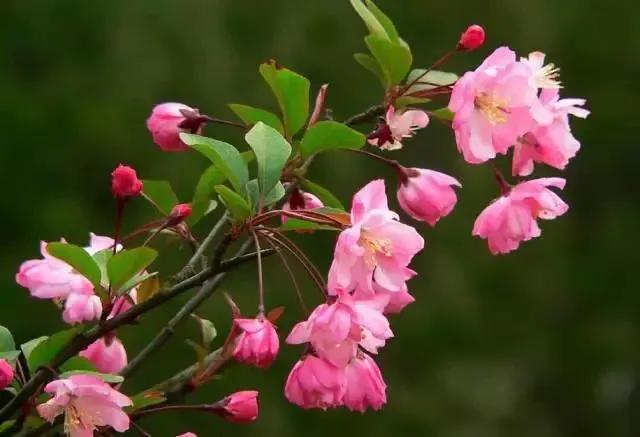 踏实努力,静待花开!——临沂湖南崖小学自主学习纪实