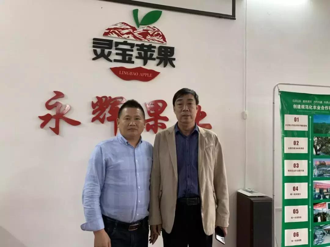 30元一颗的“灵宝金苹果”，如何在跌宕起伏的水果行业稳固生存？