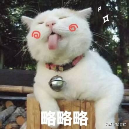 看到猫咪牙酸,猫咪磨牙是什么原因啊