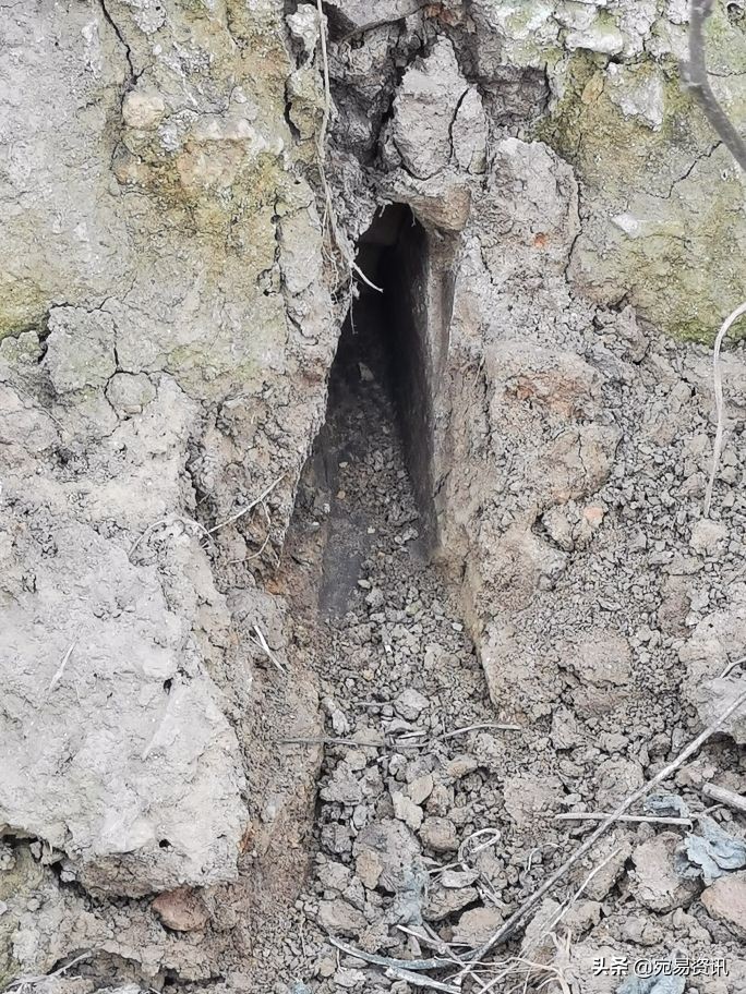 南阳黄山遗址规划图,南阳黄山遗址博物馆规划方案