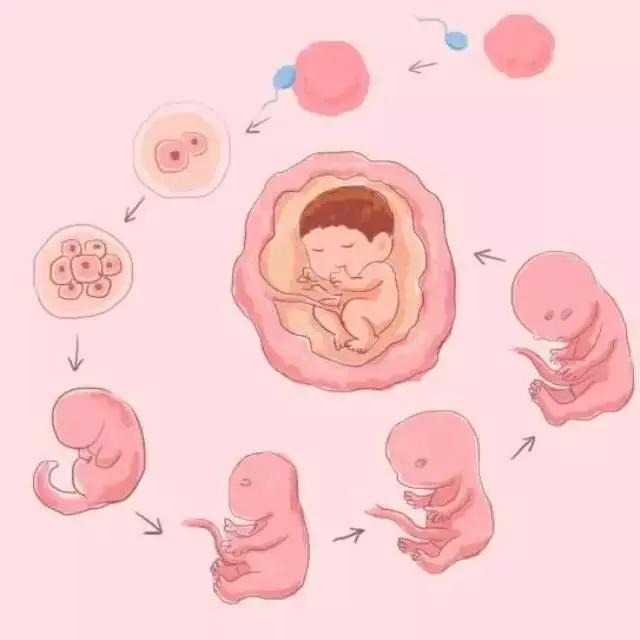 杭州12岁男孩把笔插入自己的尿道！医生说，这方面的教育不能回避