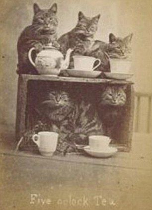 伯爵红茶历史,伯爵到底是谁