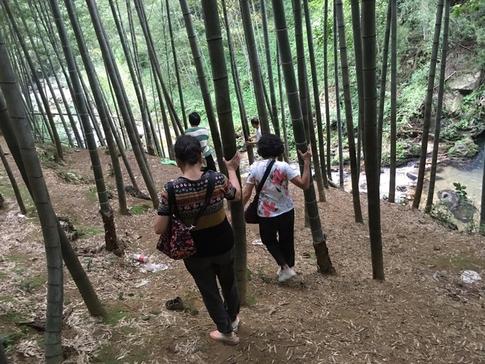 从化溪头自驾游视频,从化溪头村一日游路线