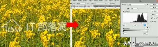 ps快速去水印教程图解,ps如何去水印详细教程