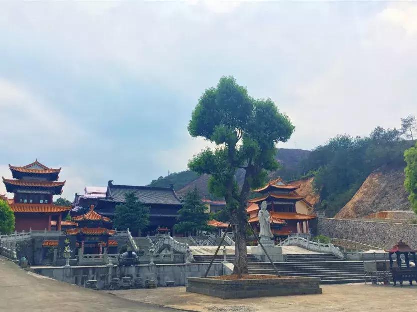 一整天忘记带手机是什么体验,24小时没有手机是什么体验