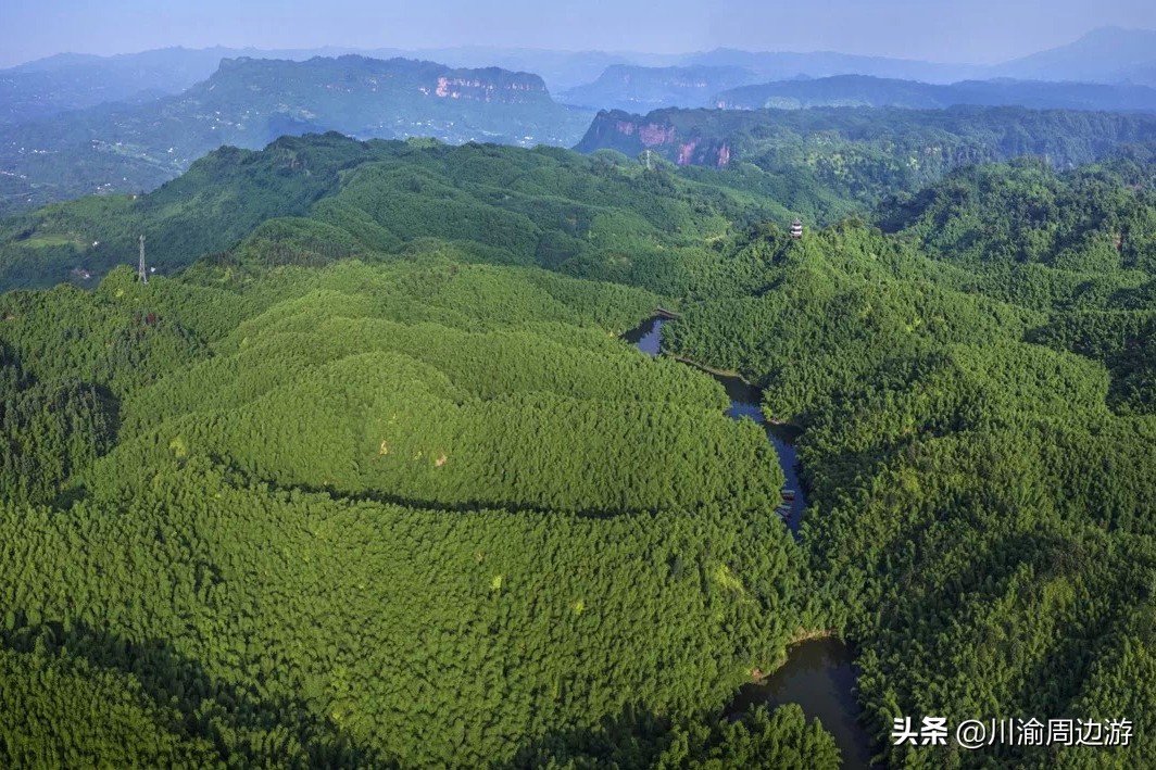 现在四川宜宾竹海免费吗,四川竹林关门票价格