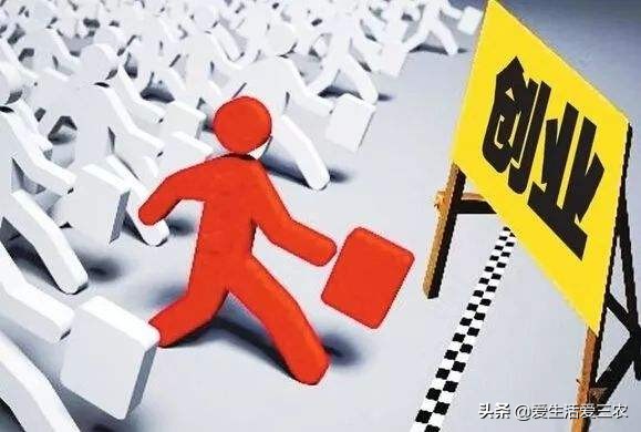 10w块钱创业什么比较好赚钱,几百块钱可以做什么小本生意