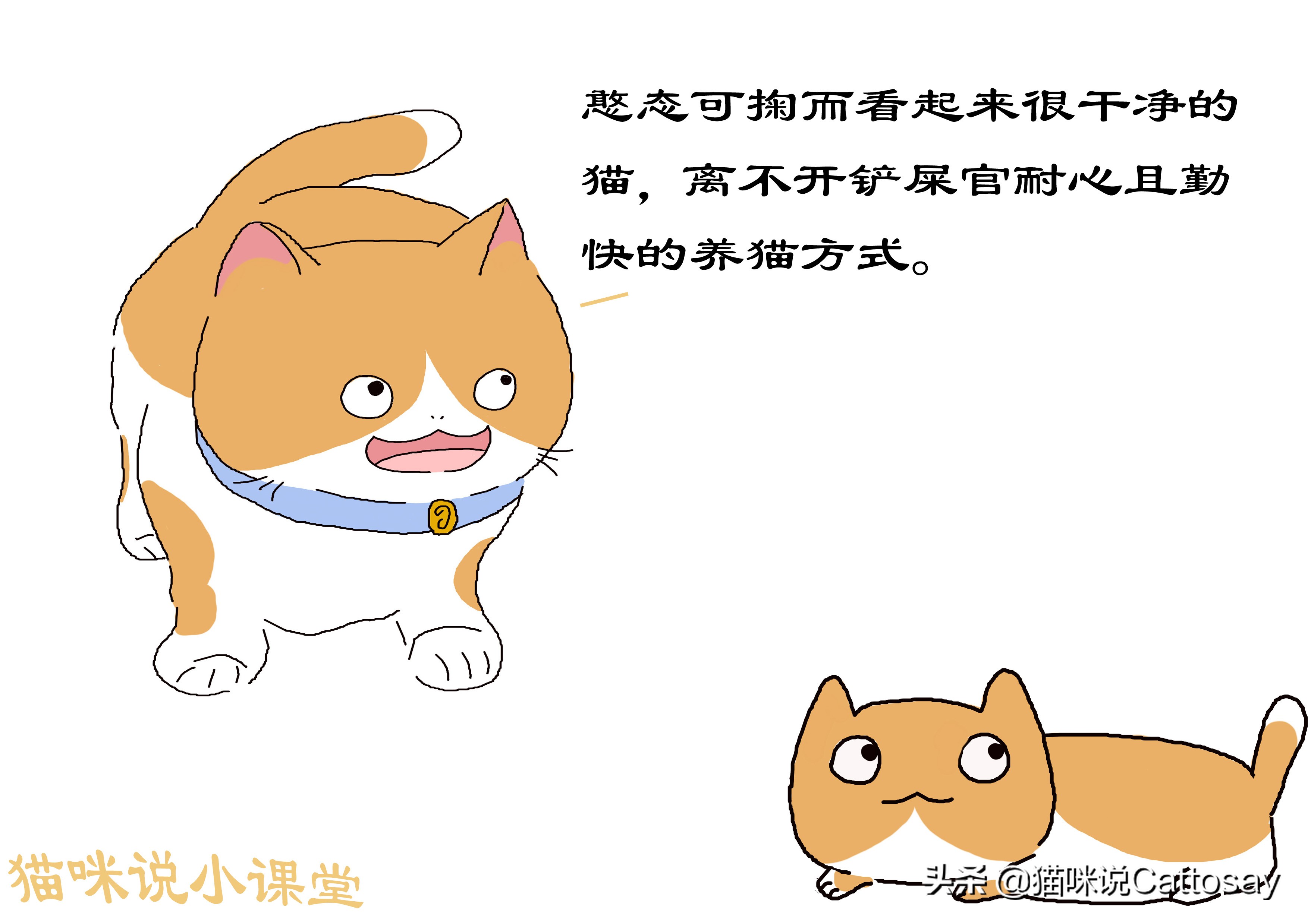 想养猫的精神状态,想养猫的人要注意什么