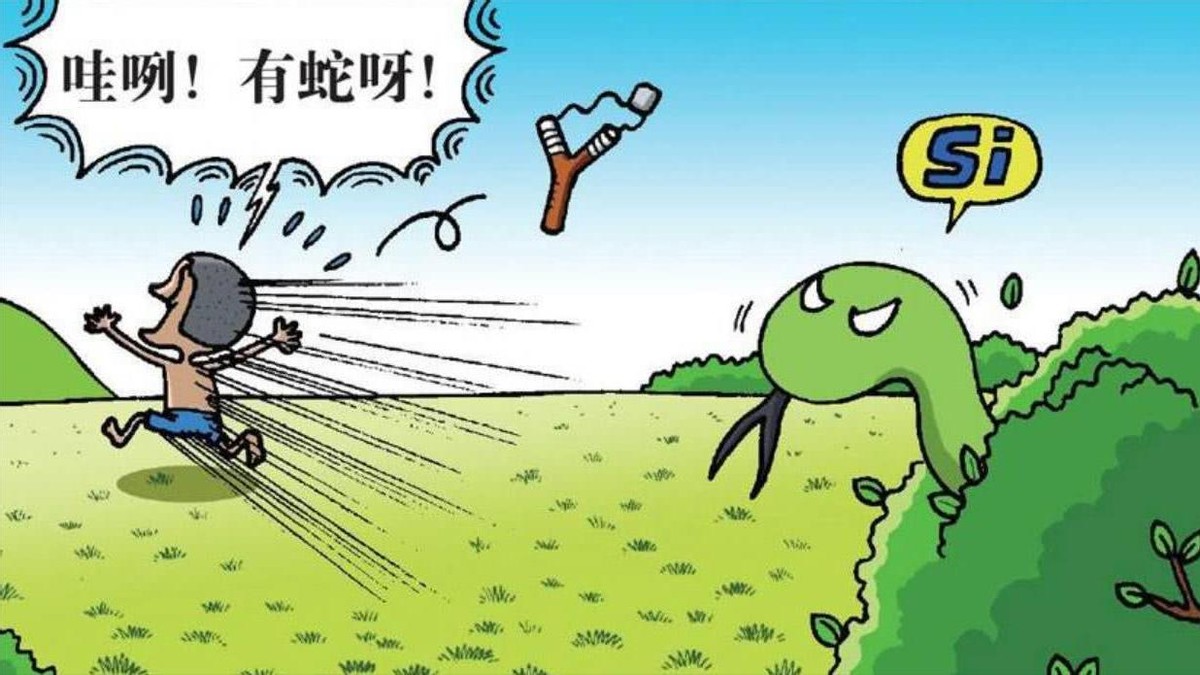 黑龙江省女子与蛇相处15年,黑龙江一女子与蛇共处十几年