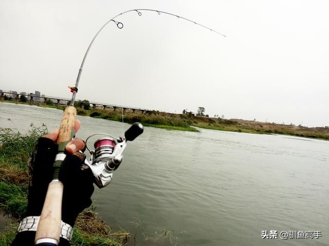 3月份浅水路亚,百闻不如一见美景视频