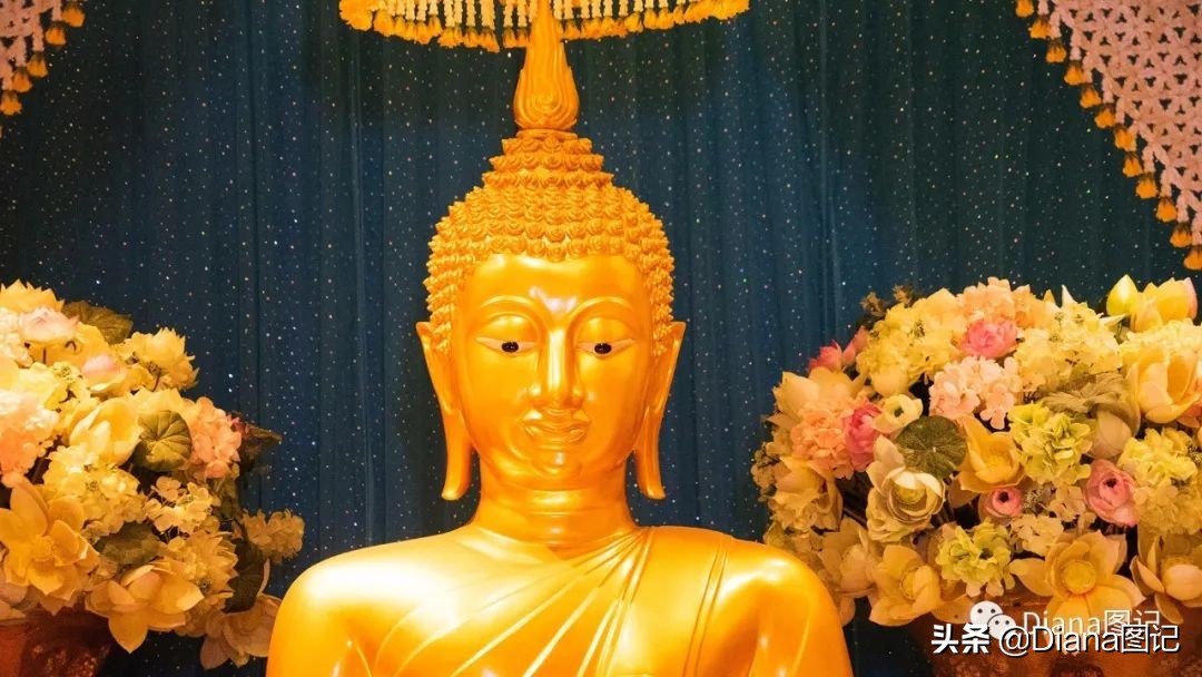 泰好时光Day5I神殿寺祈福安康富贵屋金碧辉煌