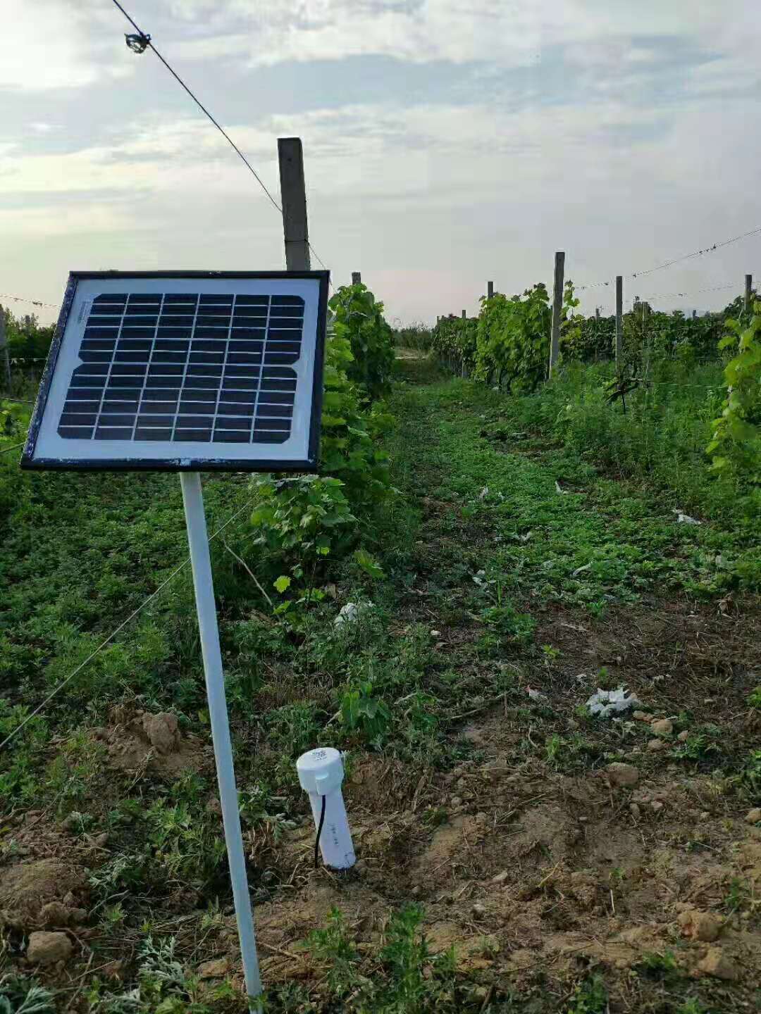 jk-100土壤水分测定仪说明书,进口手持土壤水分测定仪报价