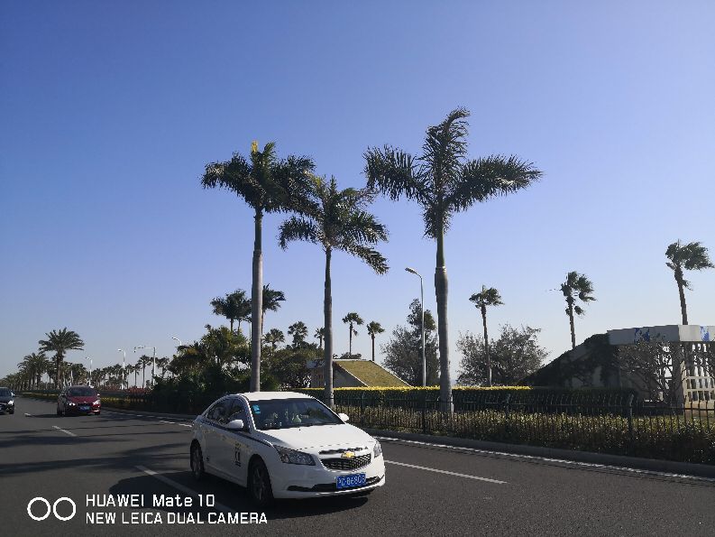 从天津到厦门玩5天的攻略,广州到厦门旅行多少钱