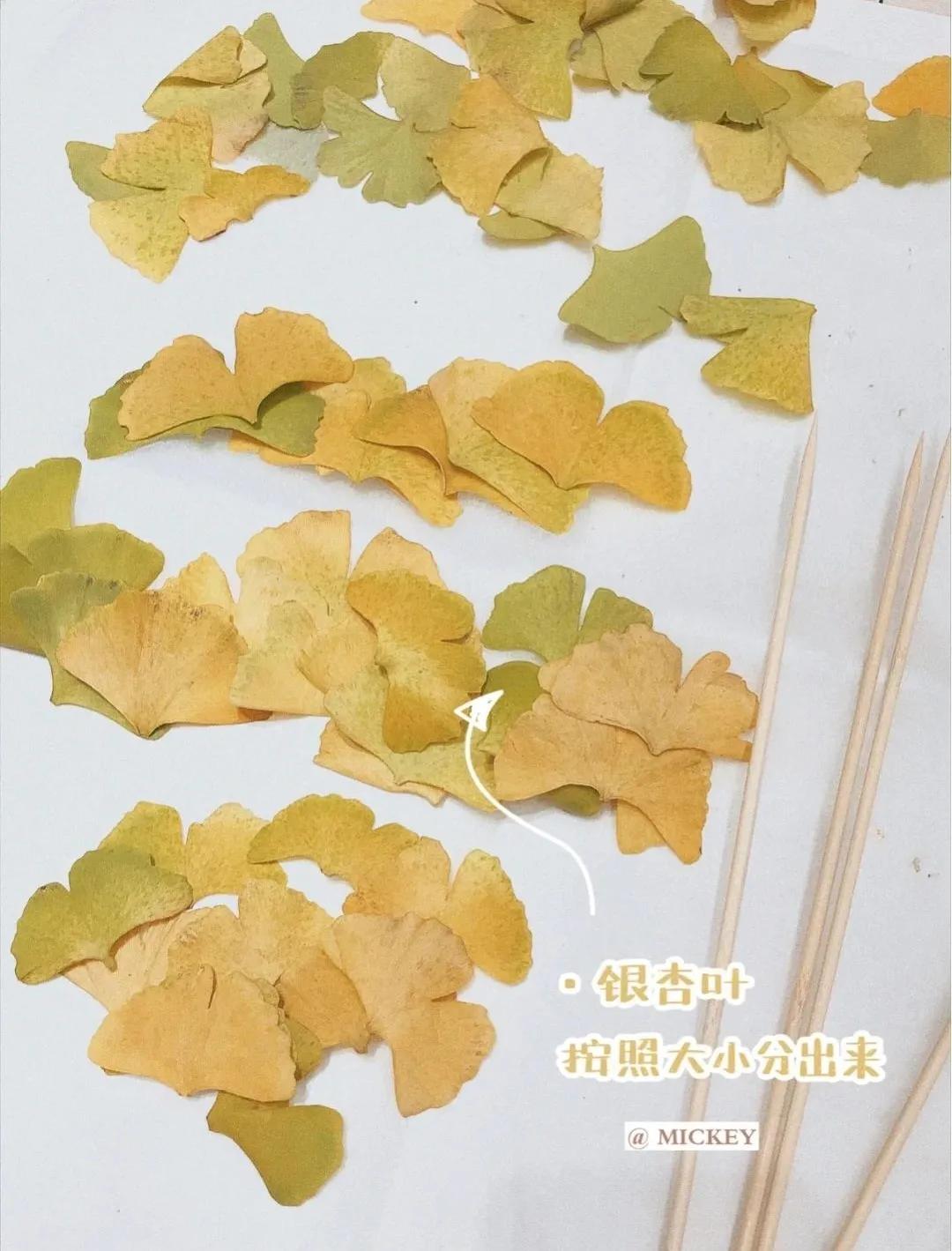 银杏叶咋做玫瑰花,银杏叶怎么做玫瑰花