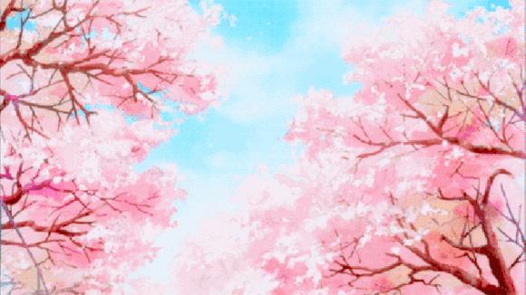 一千块防脱洗发、卸妆行李箱、油痘皮护肤、本月爱用让你大饱眼福