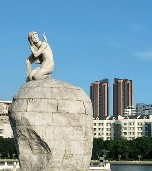 鸽群飞翔视频大全,鸽群飞翔视频