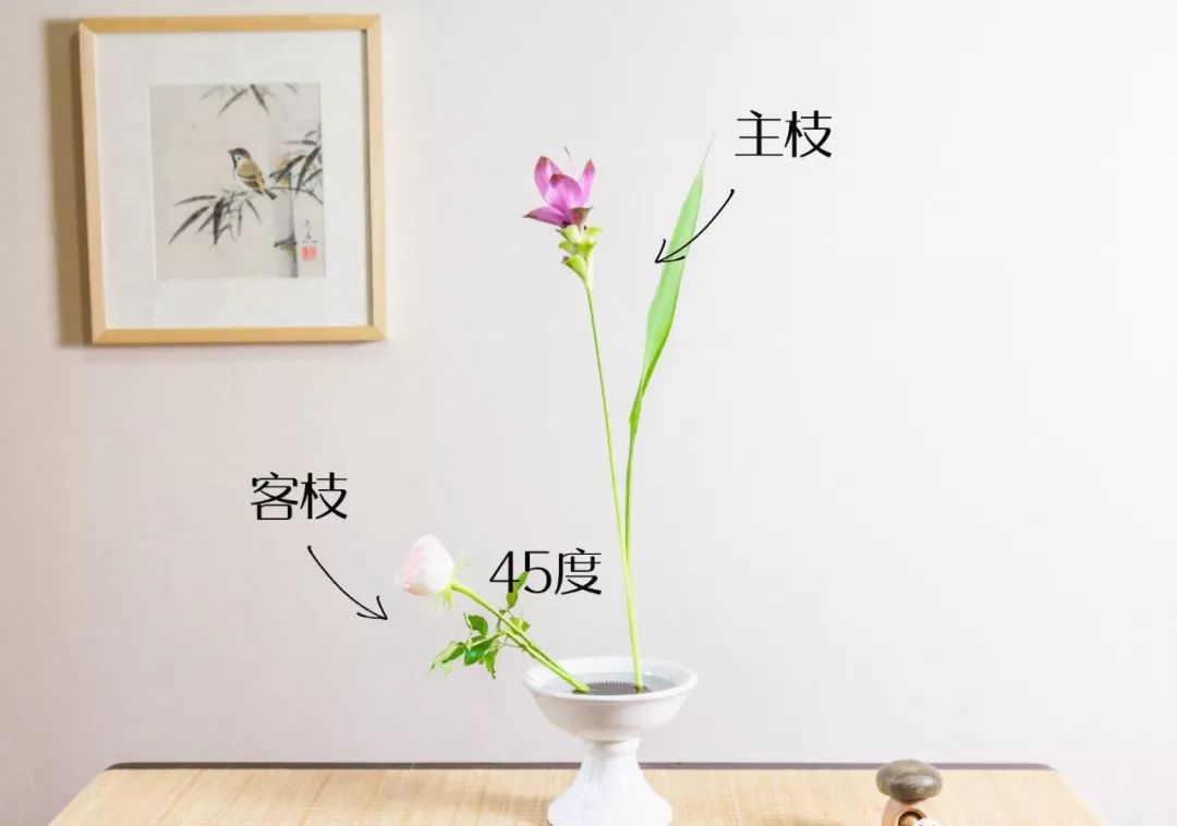 小原流花道国际标准教程,小流源花道入门教程视频