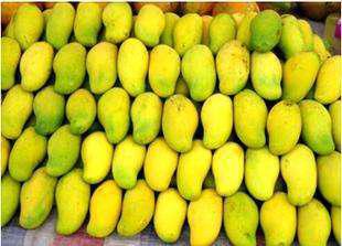 云南西双版纳旅游特色水果,云南西双版纳水果花