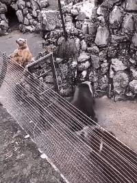 一周gif动图,一周gif图