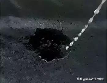 怎么除草又快又省力,除草用什么方法最省钱