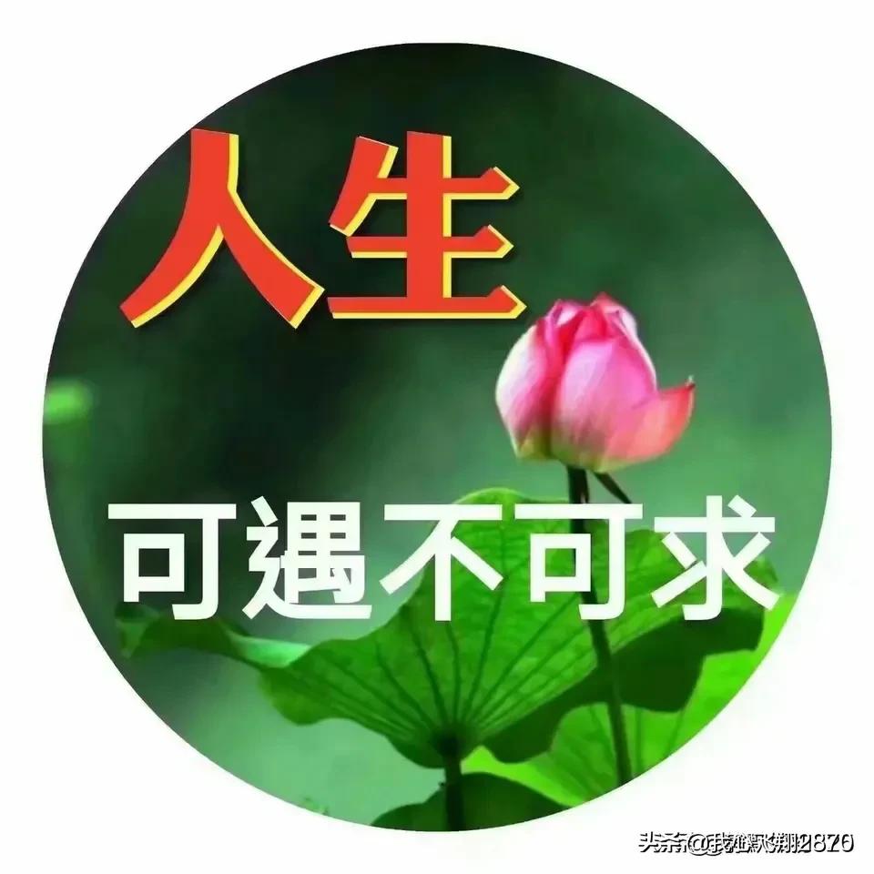 杨万里写荷花的诗小荷才露尖尖角,杨万里的荷花诗