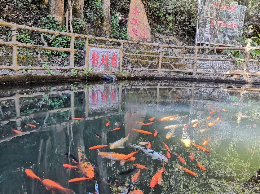 昆明周边好玩的地方青龙峡推荐,昆明青龙峡景区
