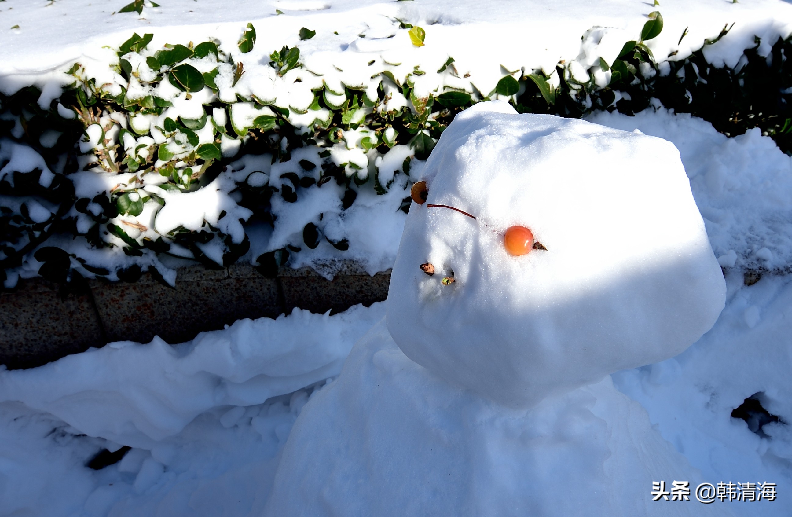 天津2022年雪景,天津第一场雪的美景
